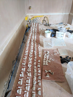 Intricate Plasterwork and Repaint in Bampton Thumbnail photo for Intricate Plasterwork and Repaint in Bampton which expands to full size when selected